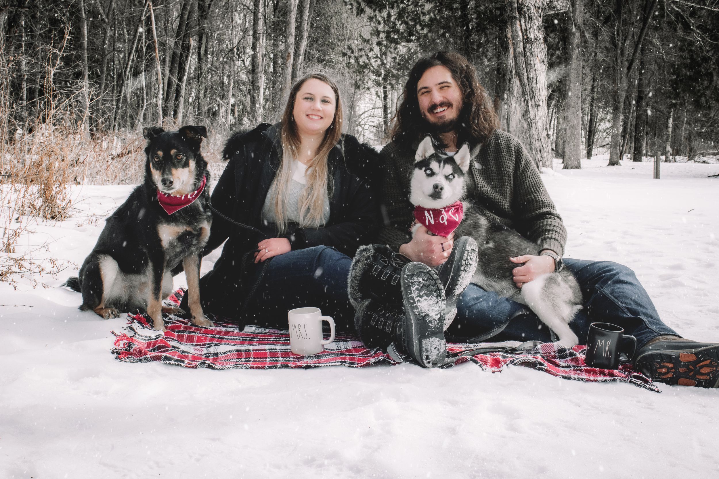 A group enjoying a winter photo session with husky dogs on a red plaid blanket in the snowy forest.