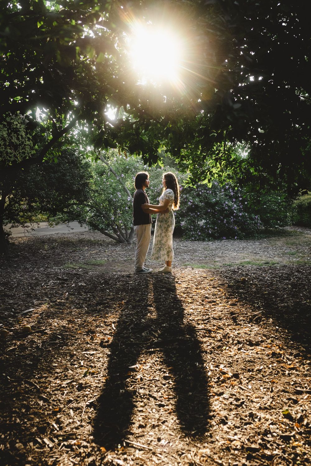 Long shadows of two people standing together in golden sunlight on fallen leaves.