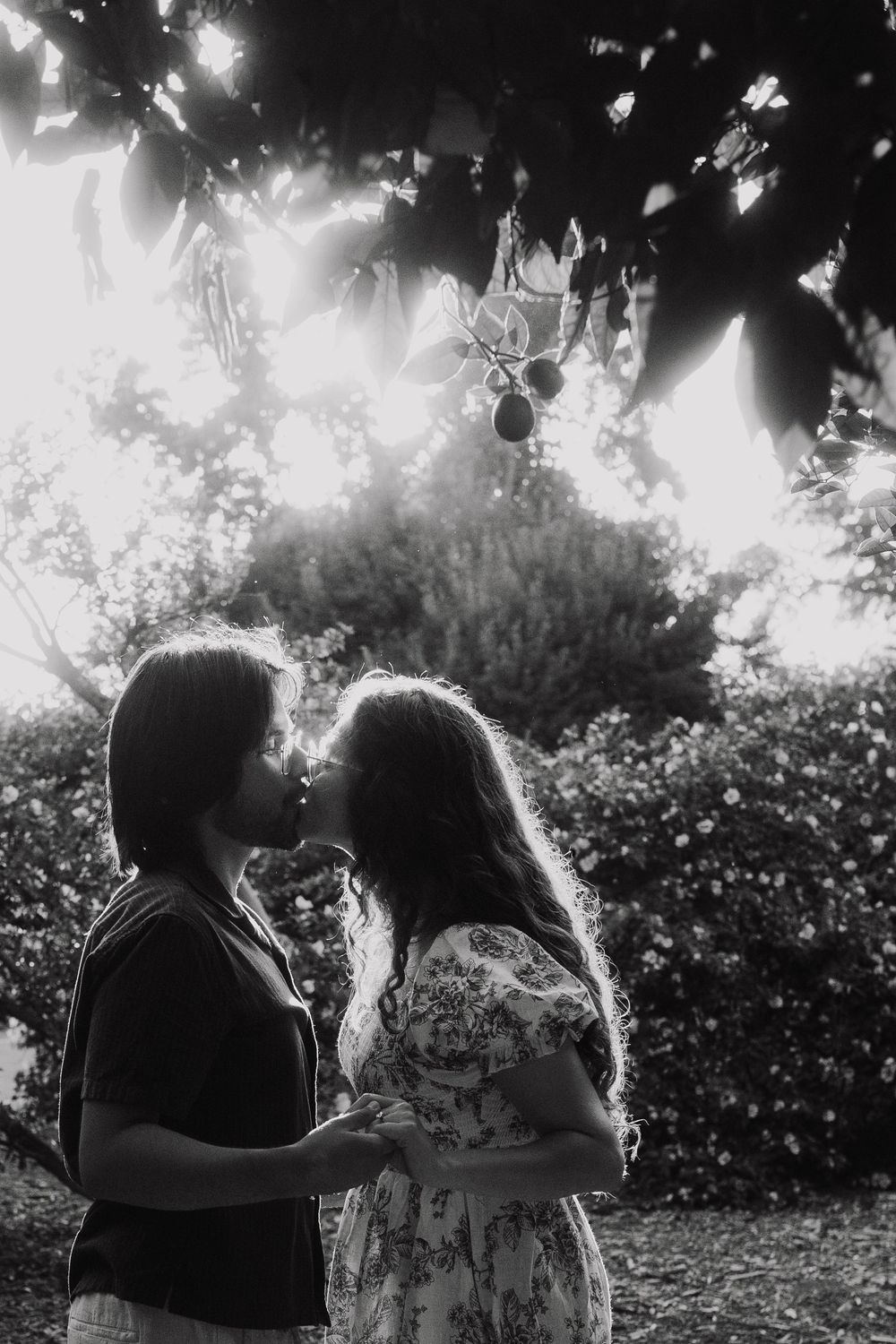 A backlit silhouette of a couple sharing an intimate moment in a garden setting.