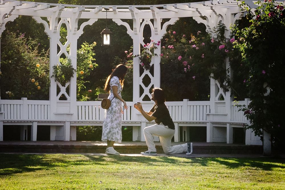 White garden gazebo stands elegantly among trees and landscaping during golden hour.