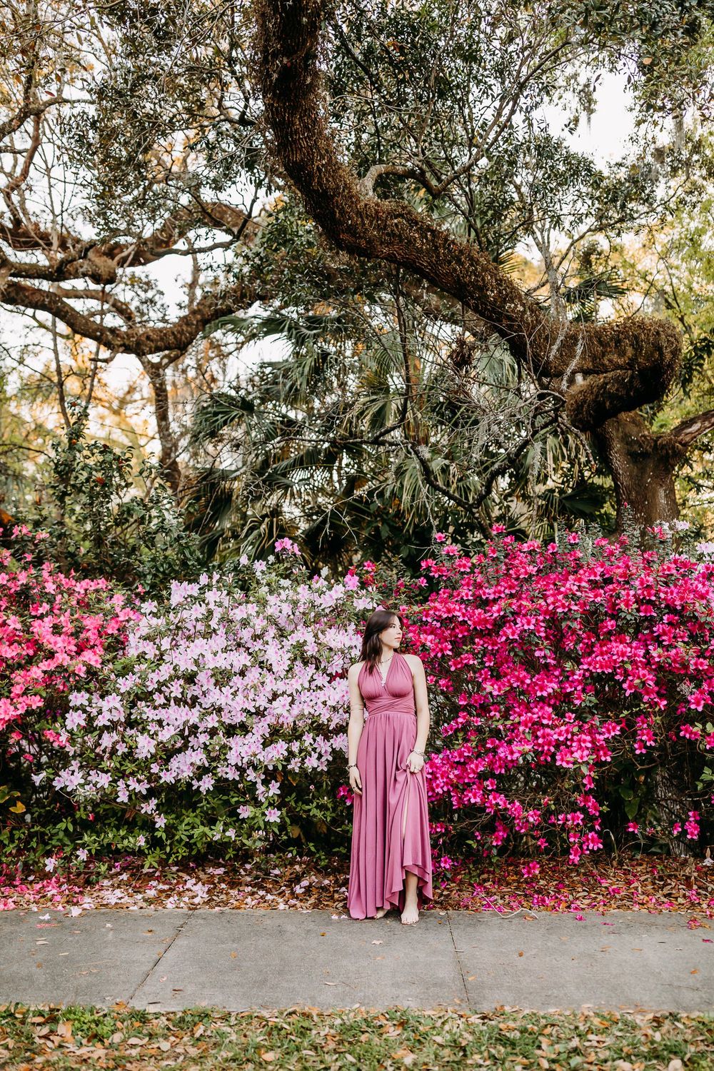 Figure in a pink dress stands along a garden path with vibrant azalea bushes and a twisting oak tree above.