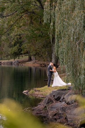 Bride and groom share a romantic kiss under a weeping willow tree by a serene lake surrounded by lush greenery.