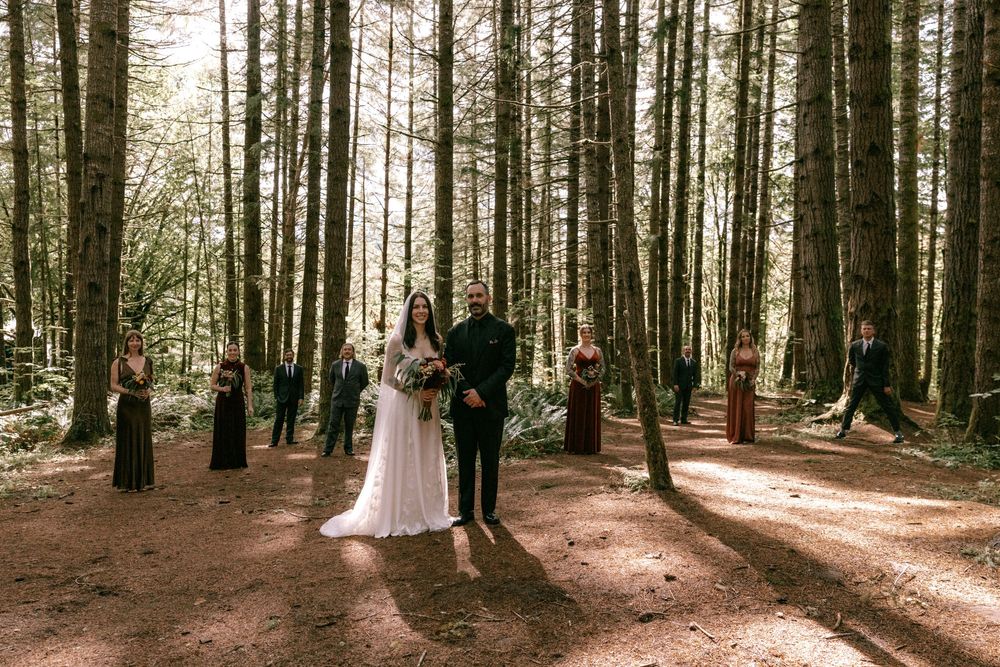 Sunlight streams through tall evergreen trees in a serene forest setting creating dramatic shadows on the ground.