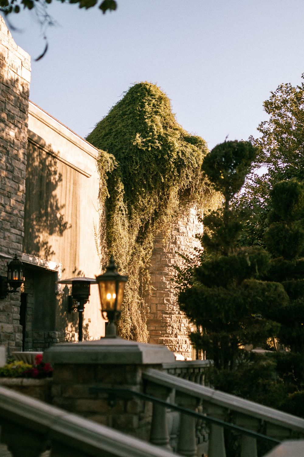 Ivy-covered stone building exterior with vintage lamp at golden hour.