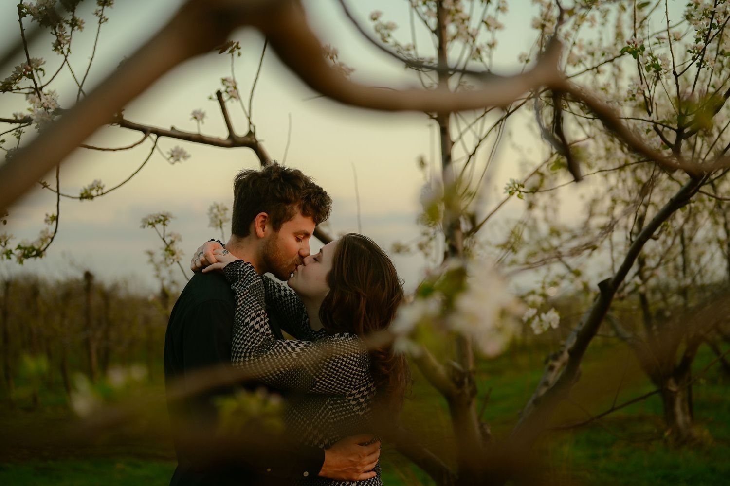 Couple sharing a romantic kiss surrounded by blooming spring trees in a lush green orchard at dusk.