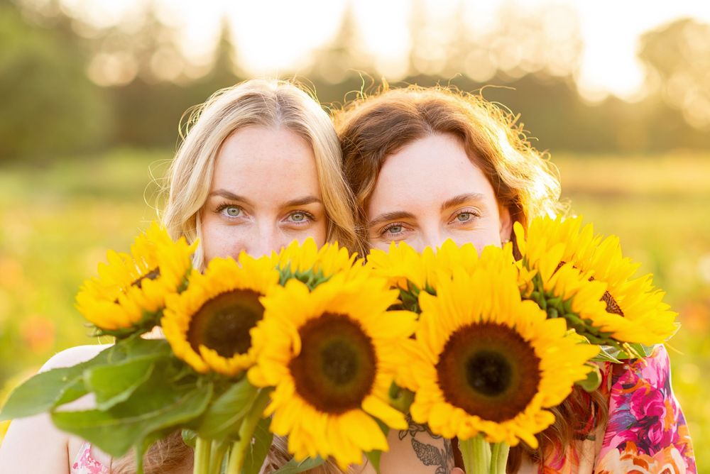 Bright yellow sunflowers bloom in a field at golden hour with soft bokeh lighting  at The Flower Lady and Gent.
