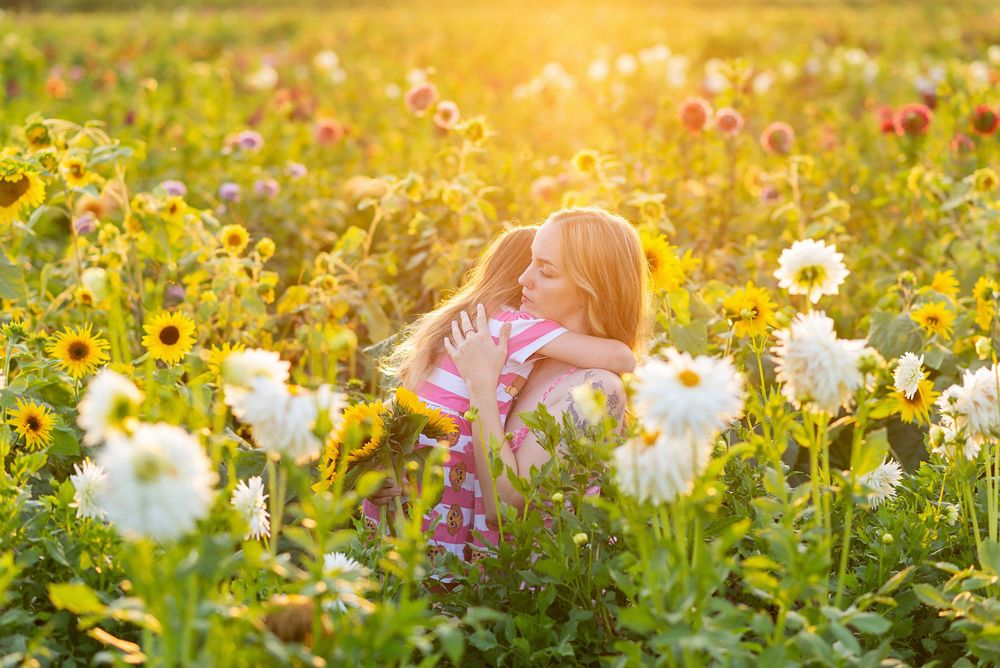 Wildflowers sway in a sunlit meadow during a warm summer evening  at The Flower Lady and Gent.