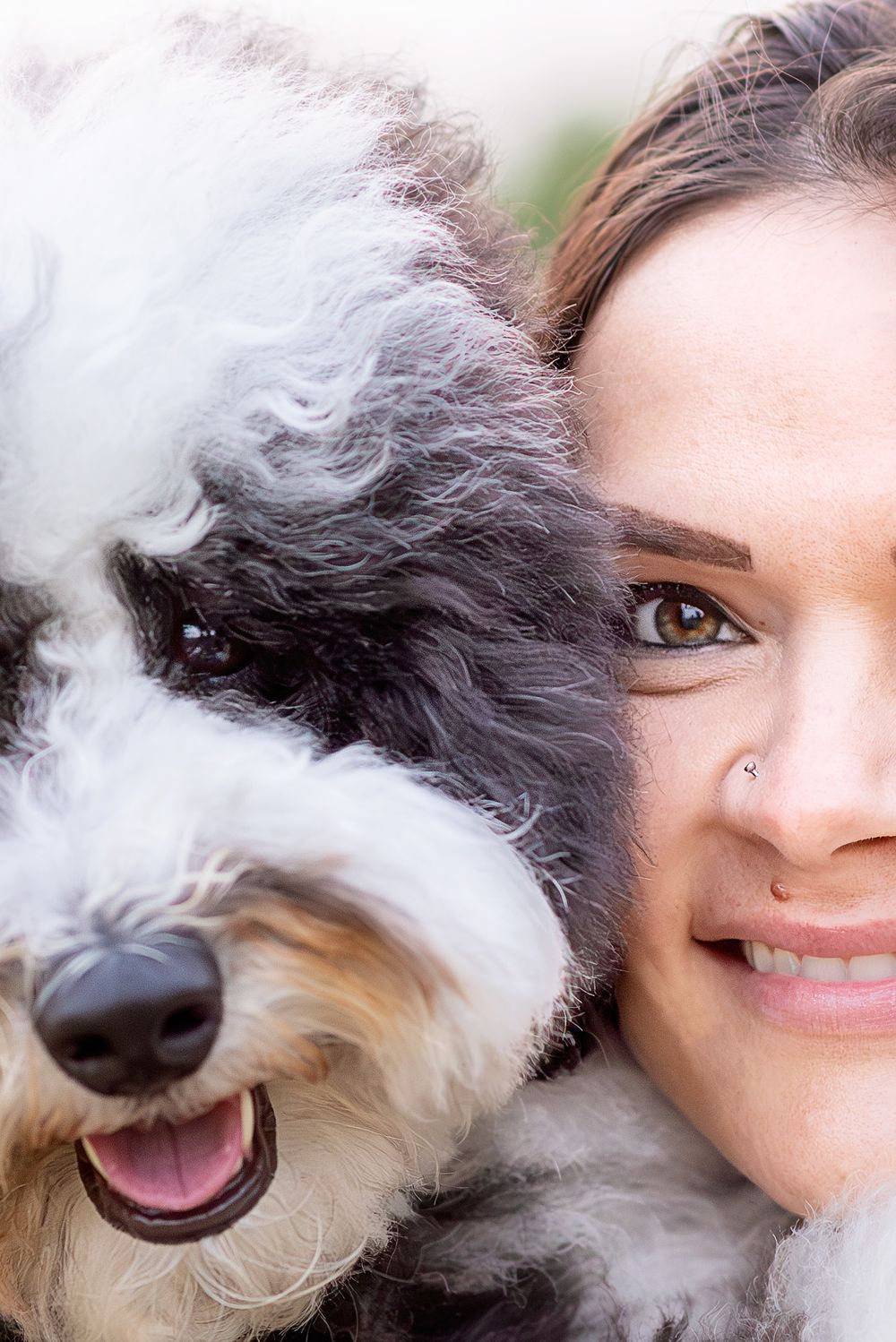 Fluffy black and white dog sharing a close-up moment with their companion in London Area.