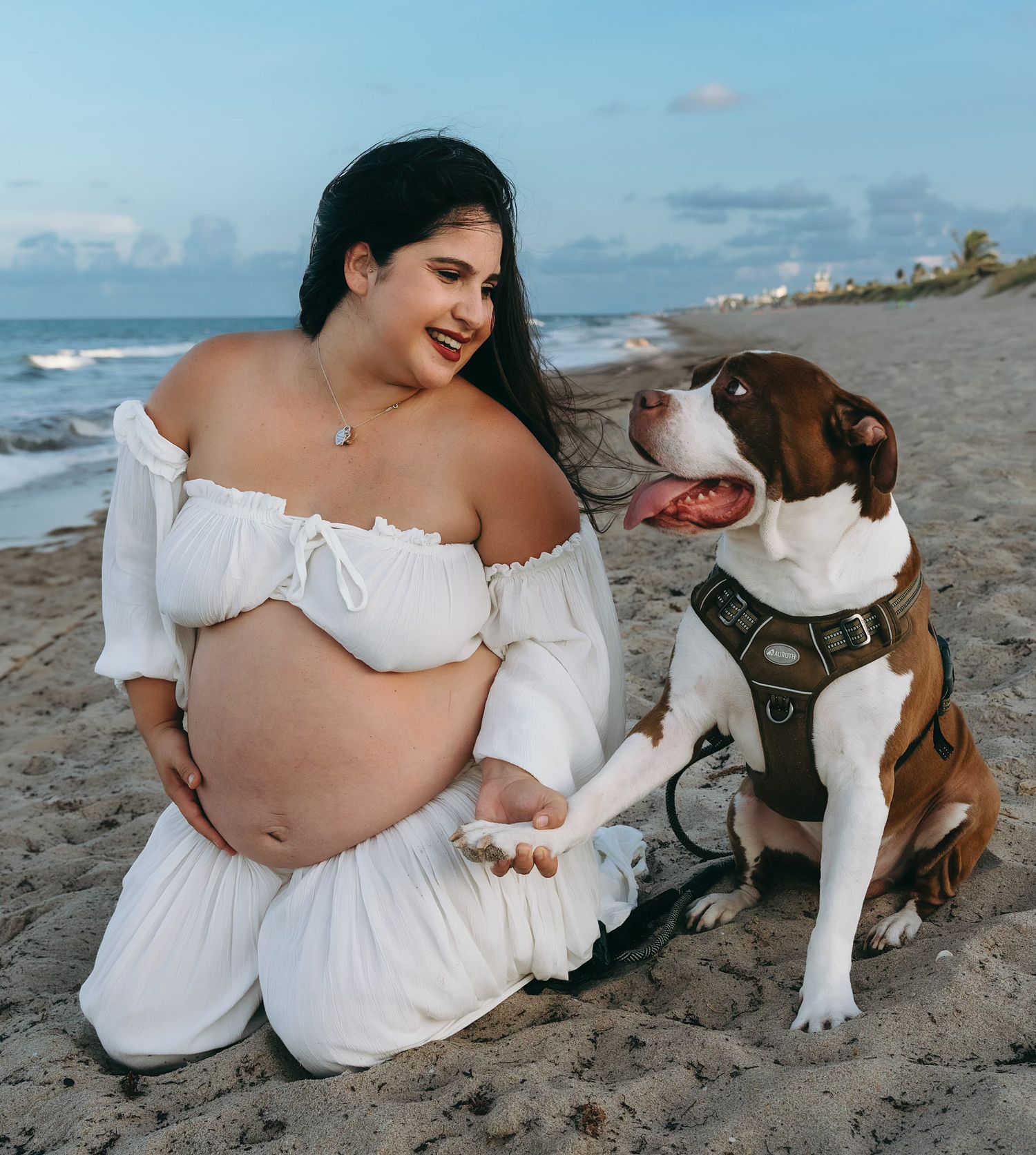A series of beach photos showing a white and brown dog playing and relaxing on sandy shores by the ocean.
