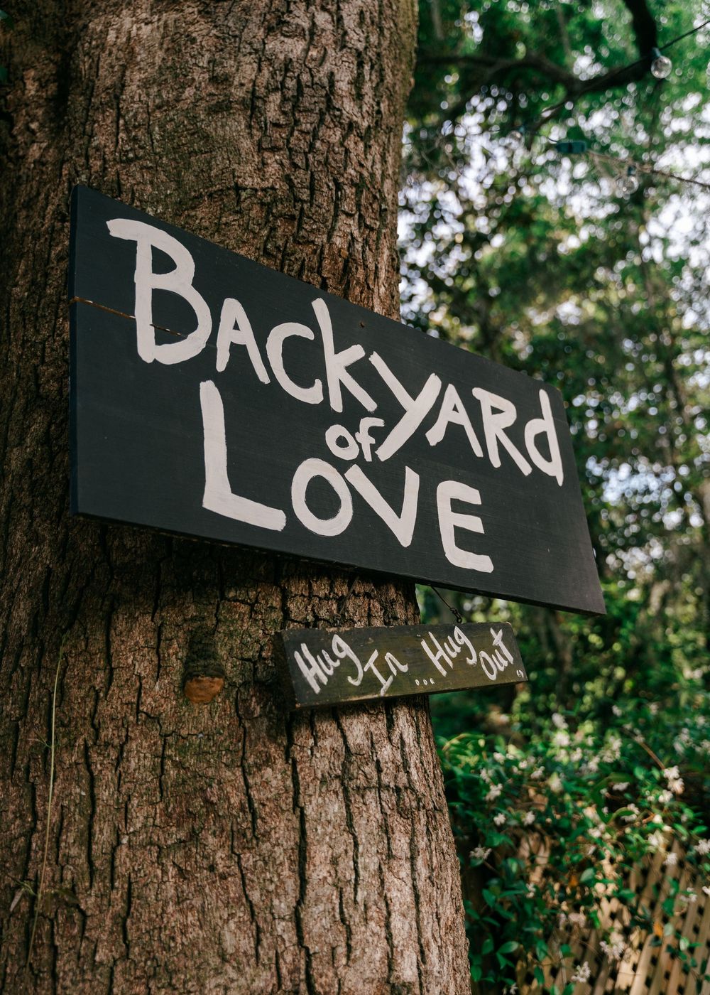 A rustic wooden sign that reads 'Backyard of Love' nailed to a tree trunk in a forest setting.