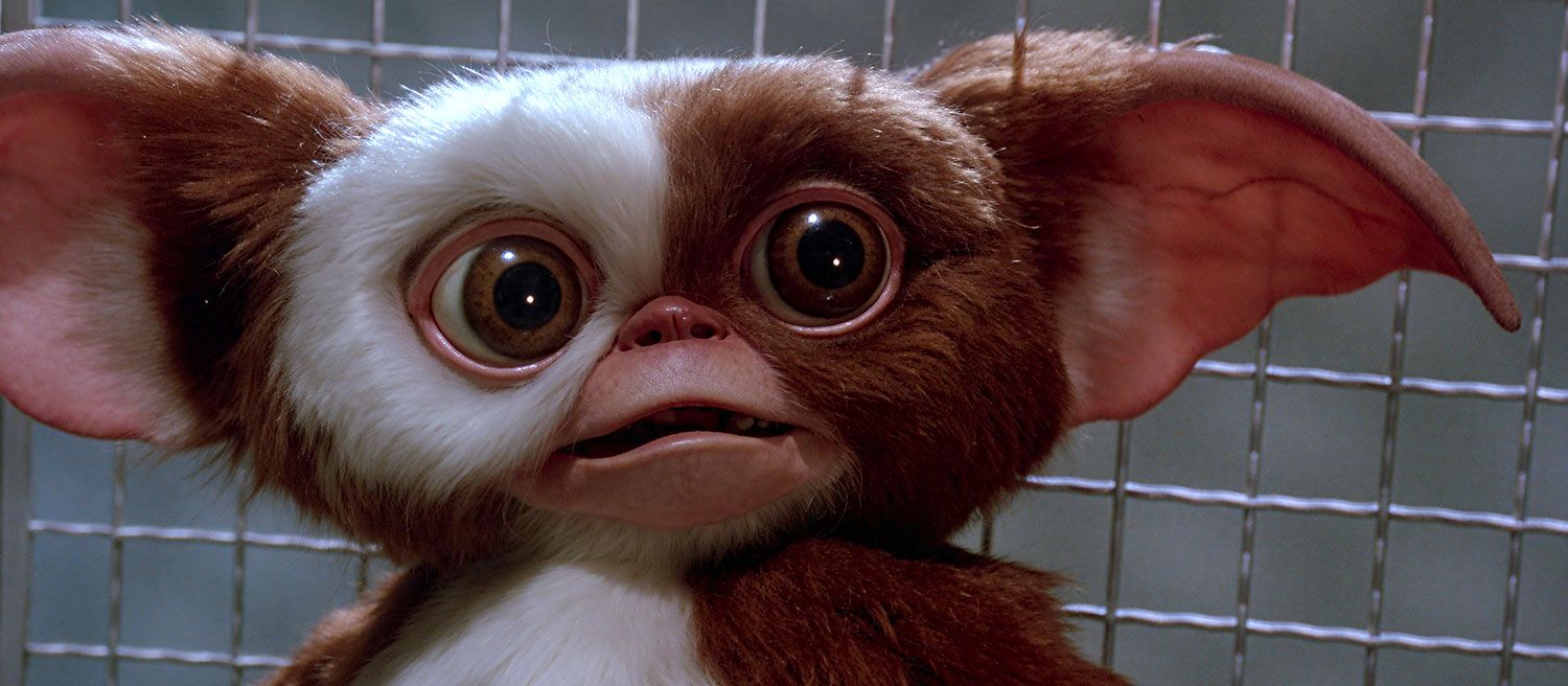 Gizmo screen shot from Gremlins 2: The New Batch