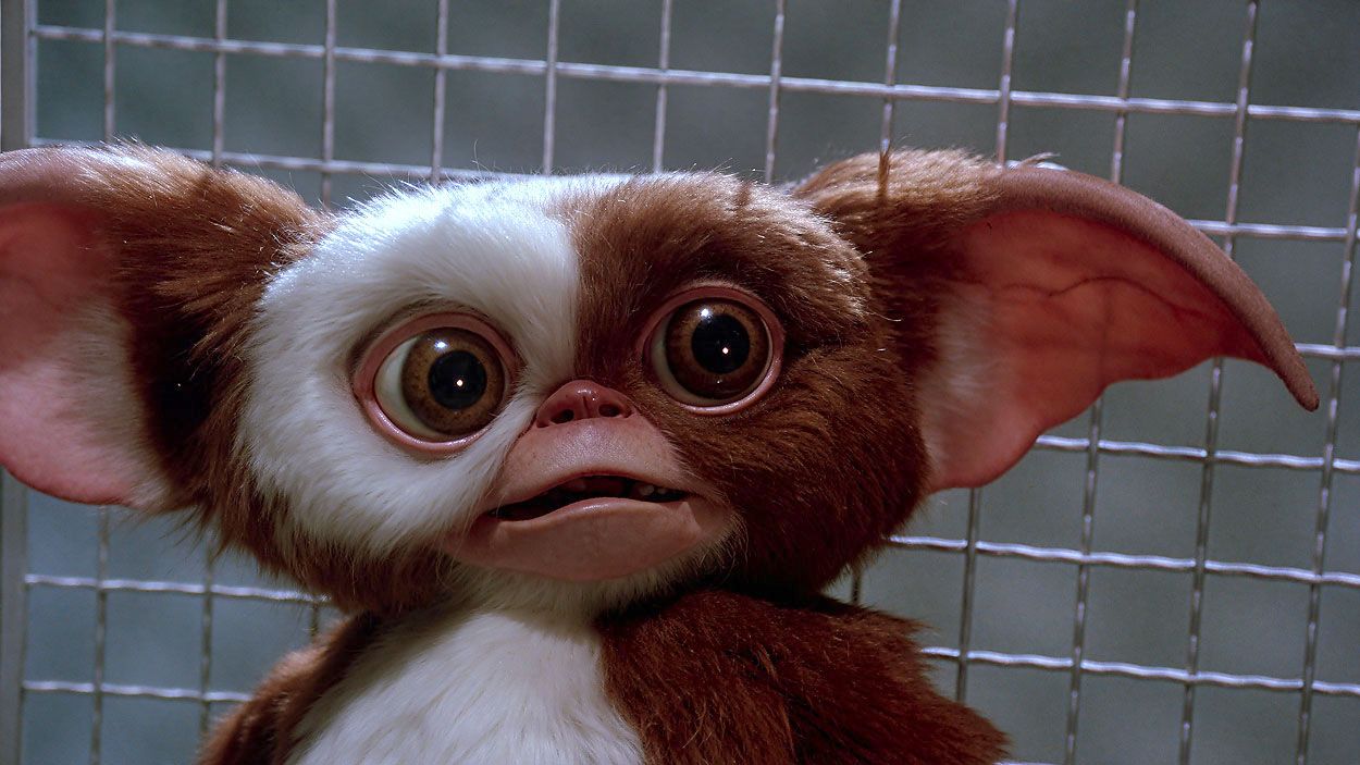 Gremlins 2 Hero Animatronic Gizmo Movie Prop - The Gremlins Museum