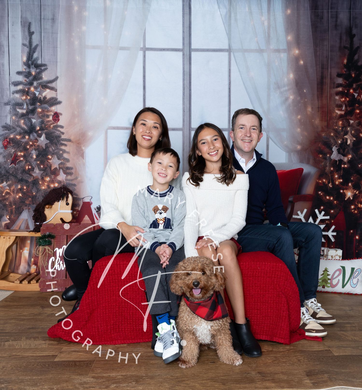 Holiday, Family, Christmas, Dog, Pet