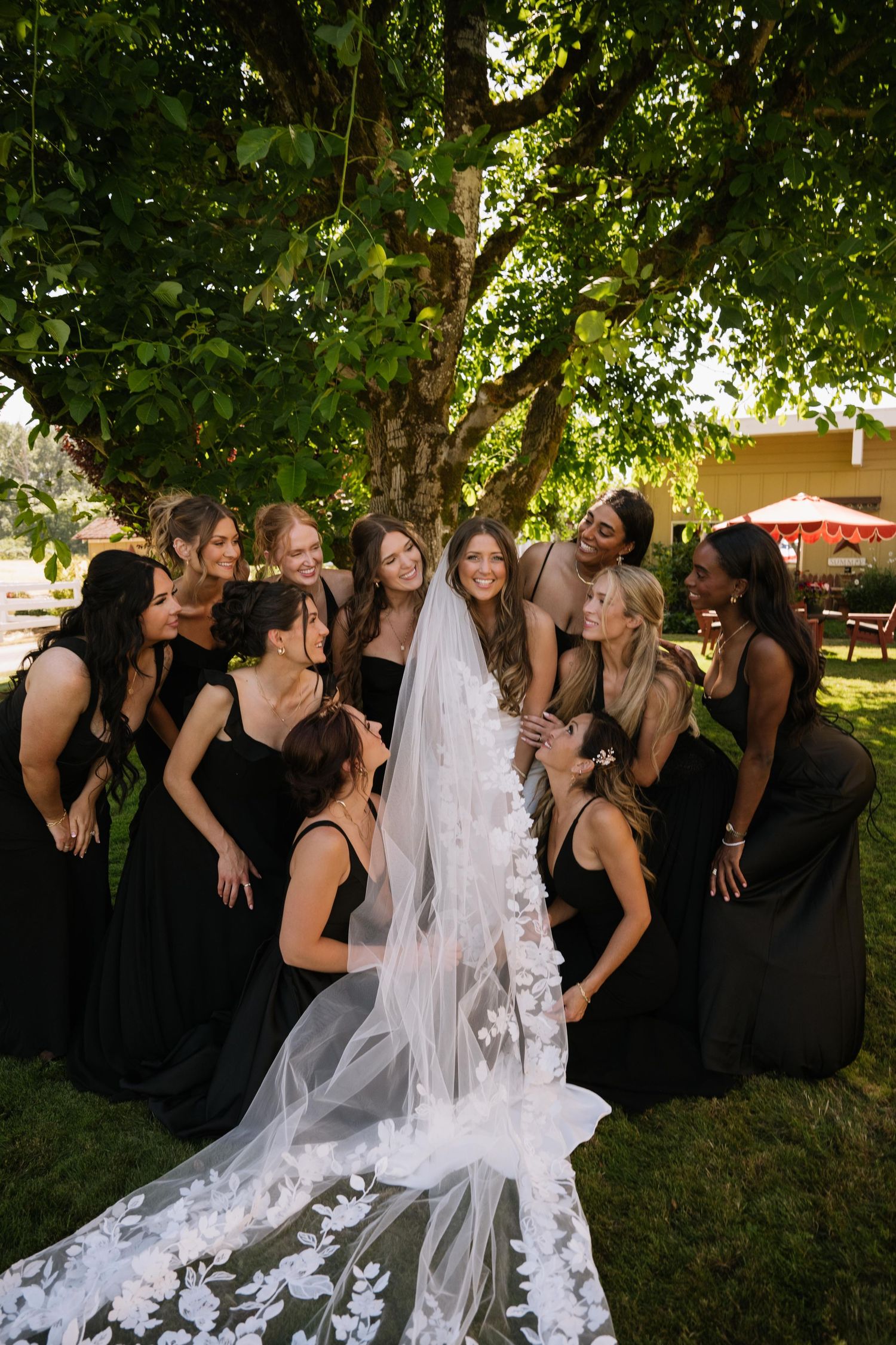 Bride in a lace-trimmed veil surrounded by smiling bridesmaids in black dresses beneath a large green tree.