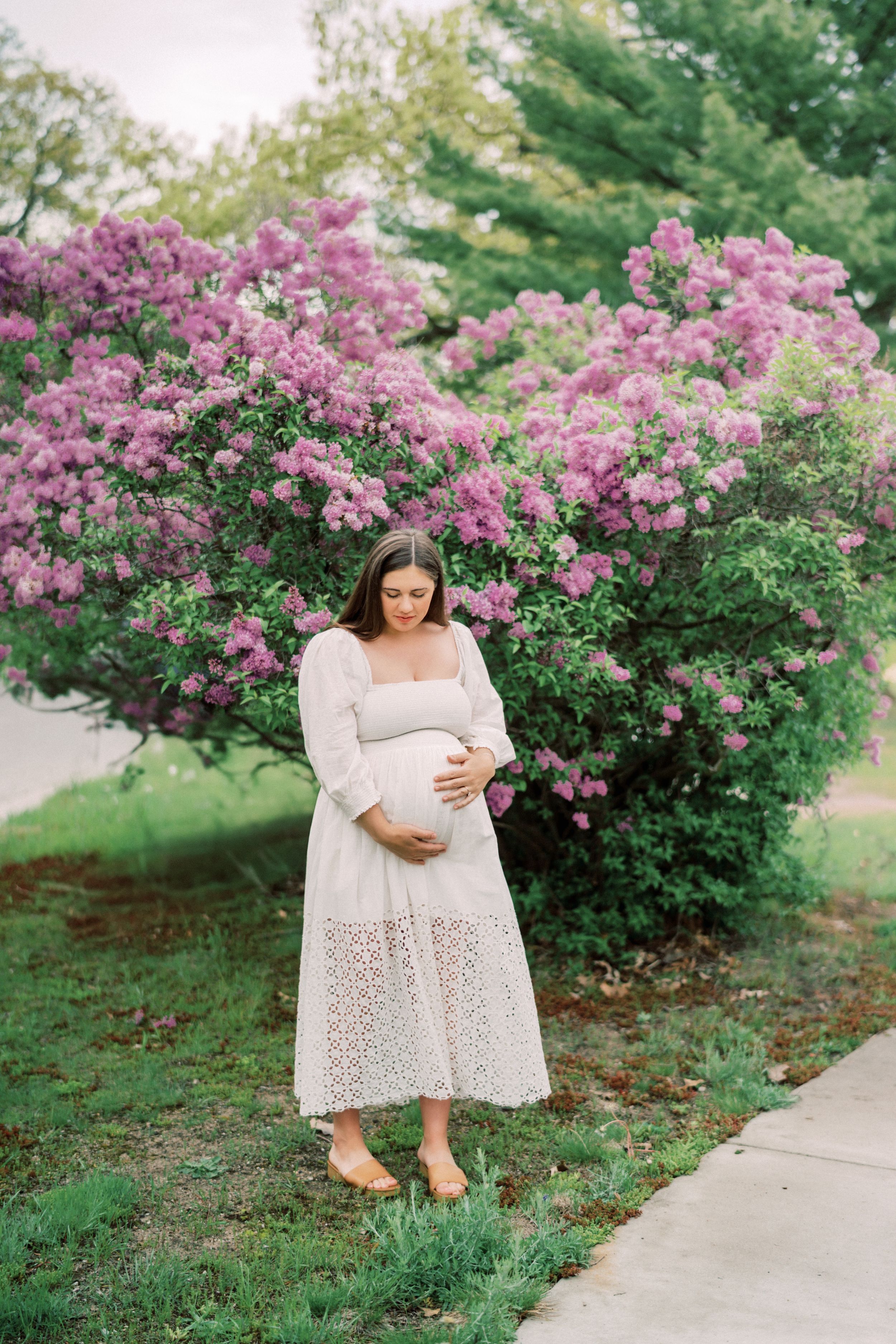 A pregnant woman in a white eyelet dress stands in front of blooming pink azalea bushes on a spring day.