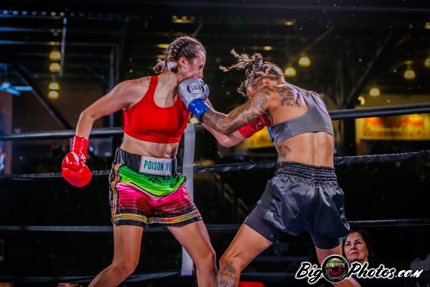 Dynamic boxing match action shots captured under dramatic arena lighting.