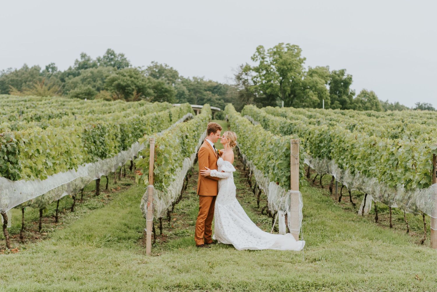 Virginia Vineyard Romantic Wedding Photography, Anna Romani Photography, Candid Wedding Photography