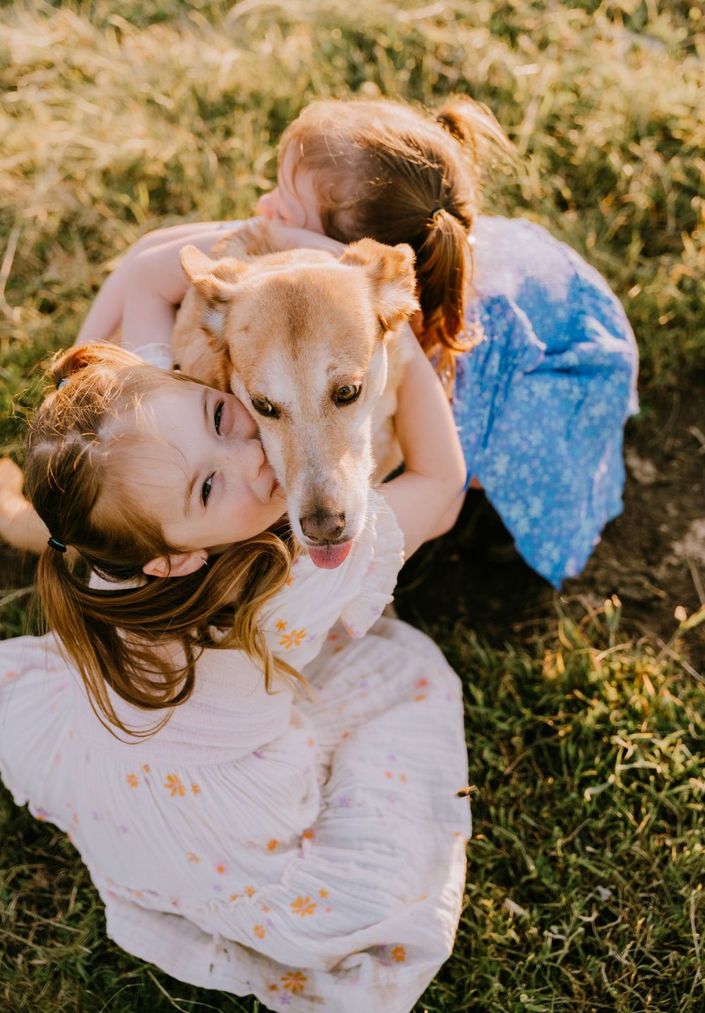 A heartwarming scene of a child and dog playing together on grass during sunset.