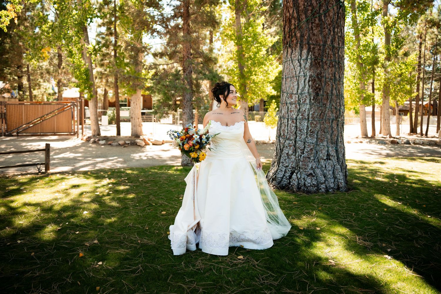A couple in wedding attire walks together through a sunlit forest with tall pine trees creating dappled shadows.