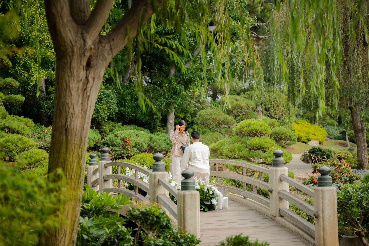 A peaceful stone bridge pathway winds through a lush Japanese garden with vibrant green foliage and trees.