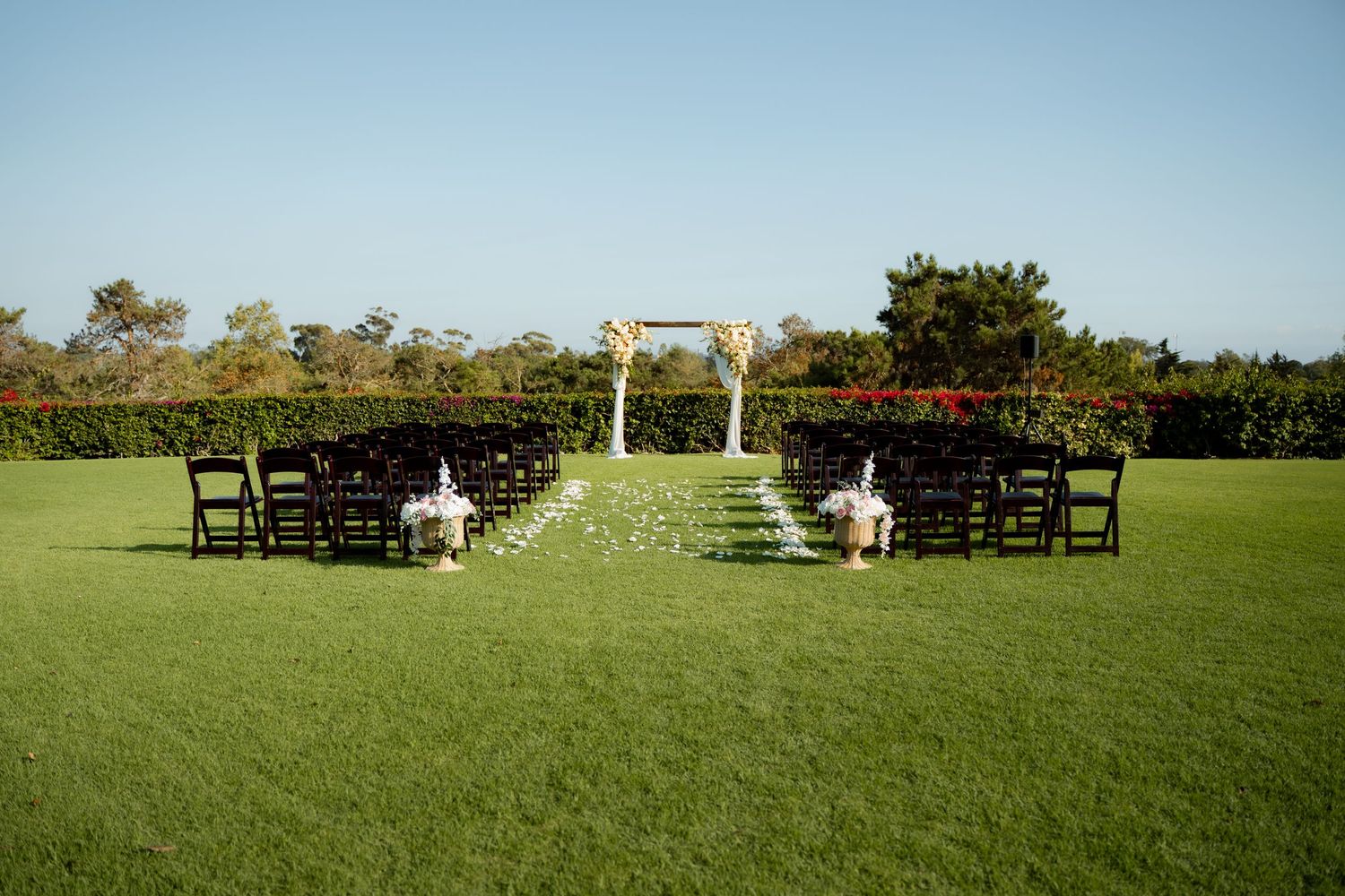 Panoramic view of empty chairs arranged on a green lawn for an outdoor event with trees in the background.