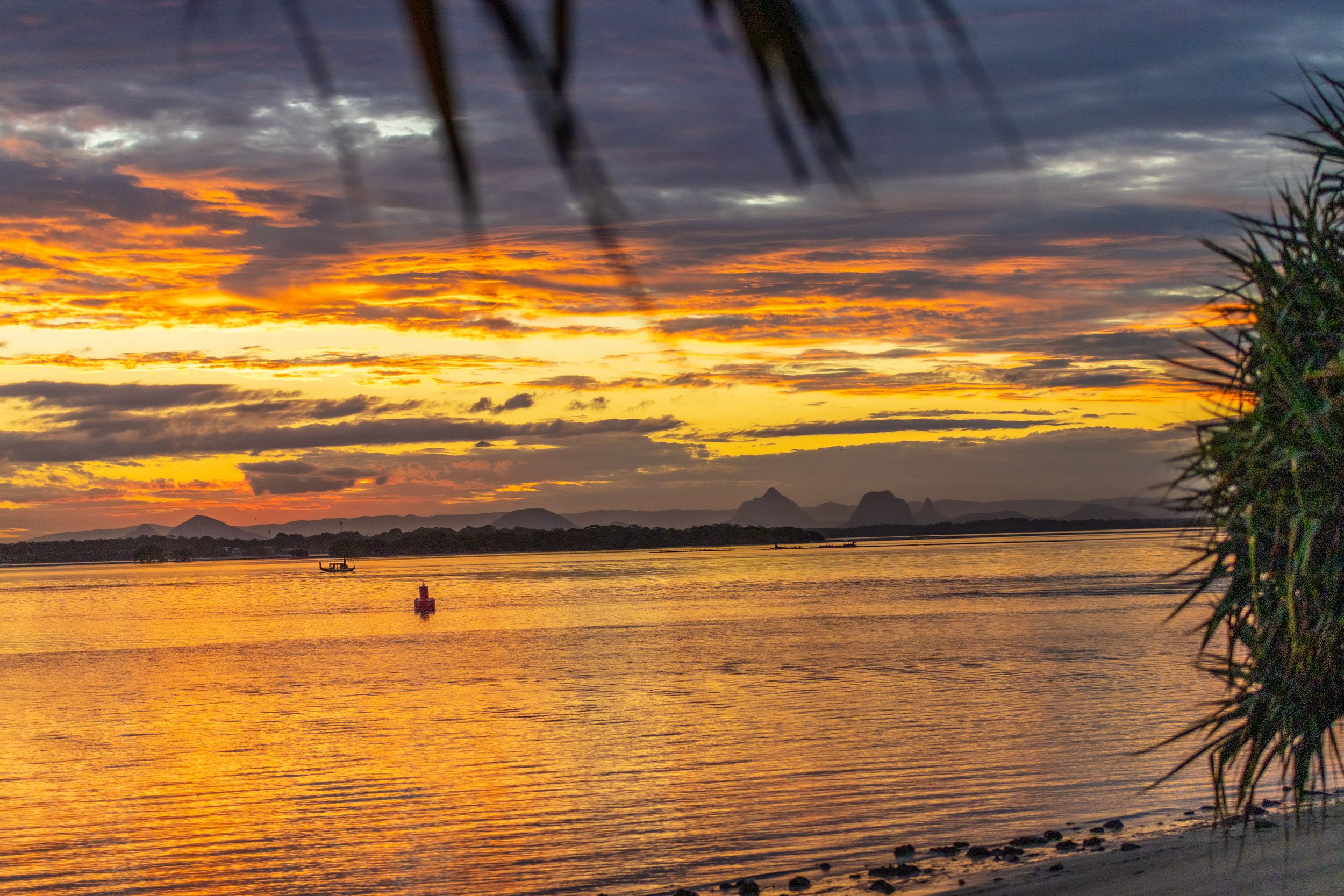 Dramatic orange sunset over calm water with silhouetted palm fronds in the foreground.