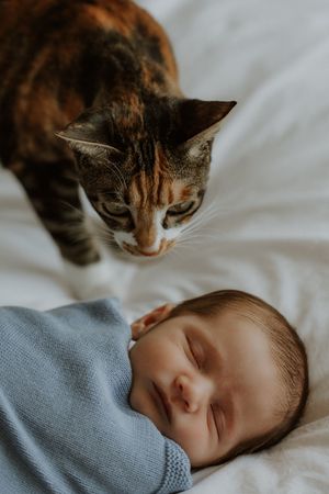 A curious tortoiseshell cat sniffs a peacefully sleeping newborn baby wrapped in a soft blue blanket on white bedding.
