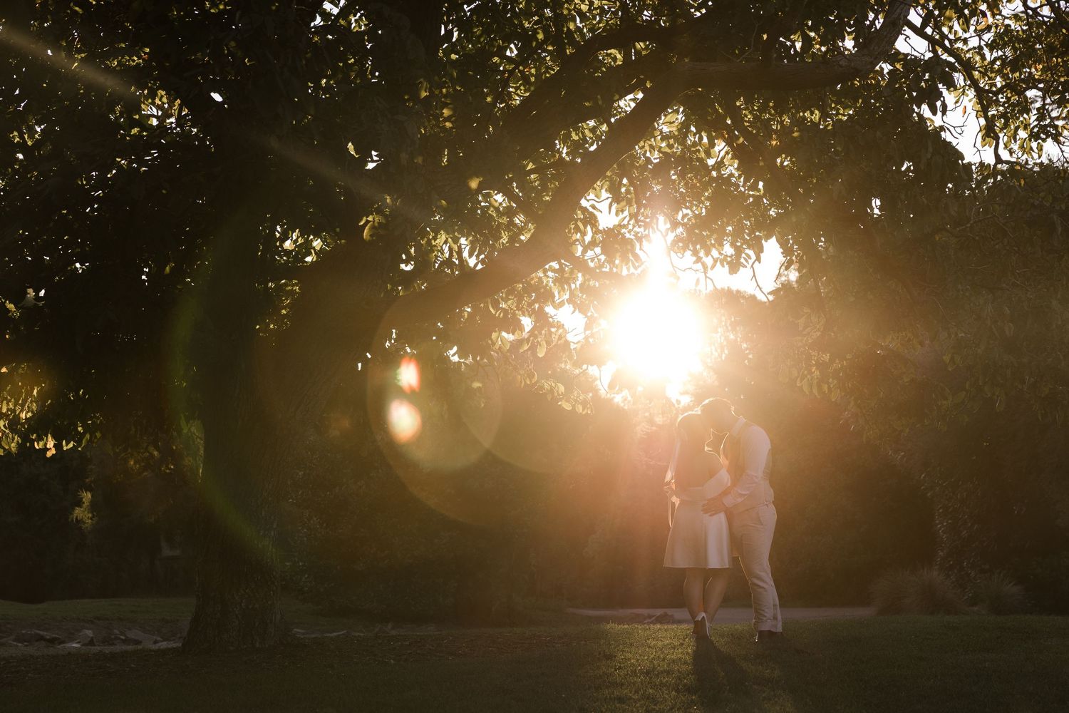 wedding photography of a bride and groom with a shaft of sunlight over them in Christchurch, Canterbury