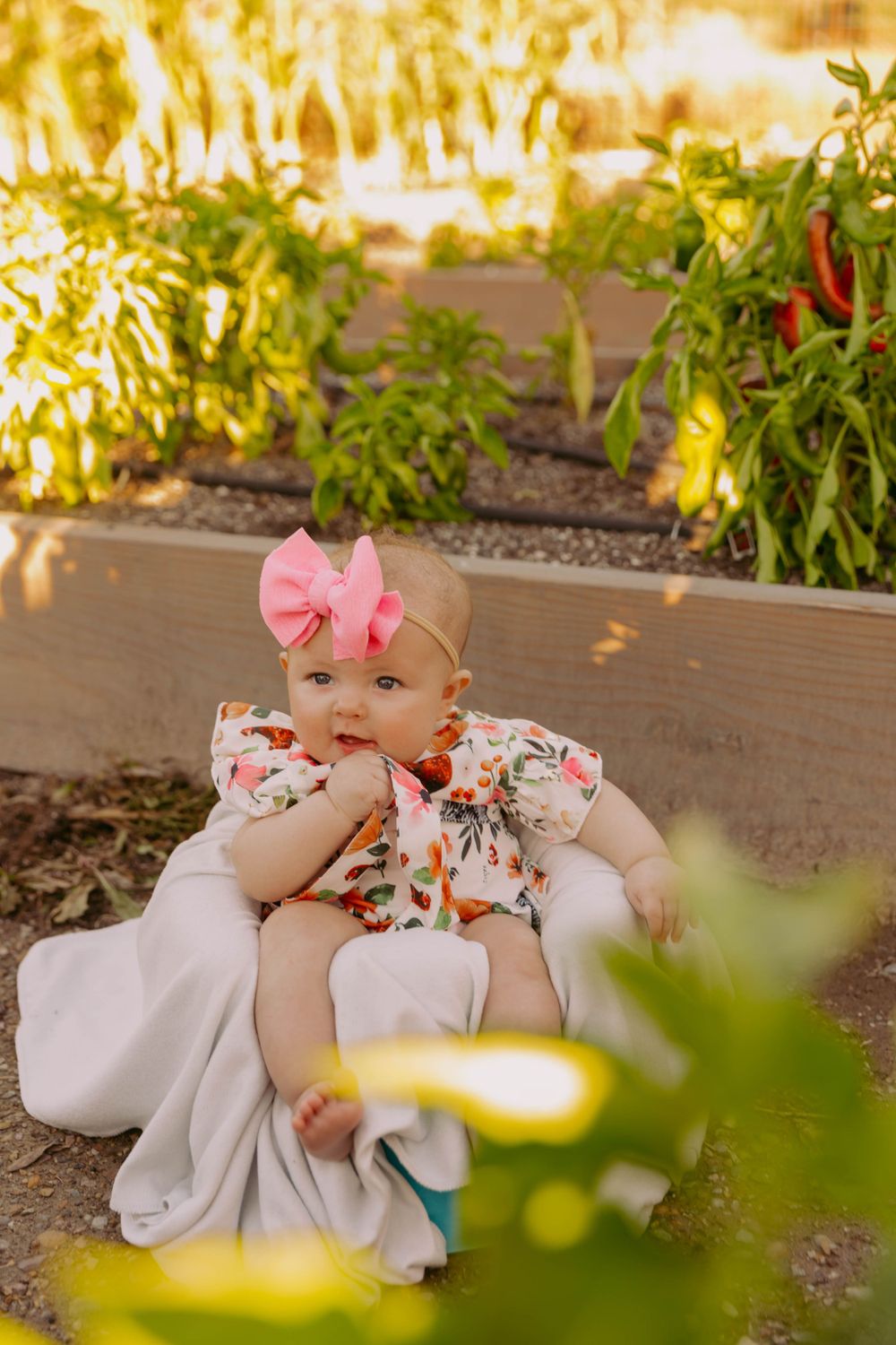 Garden scene with bright yellow lighting and floral elements in foreground.