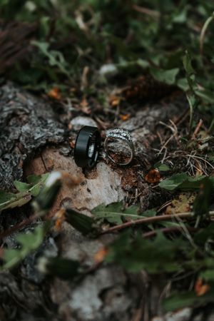 Two wedding rings rest on a rustic piece of bark surrounded by green foliage outdoors.
