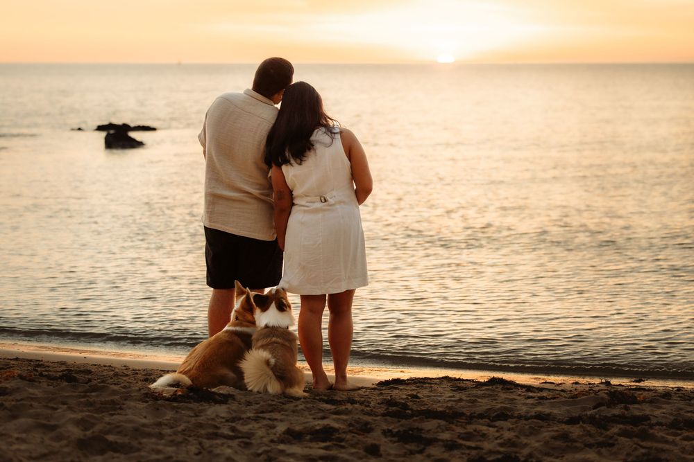 Couple and dog watching sunset on beach, romantic golden hour scene with calm ocean waters in background.