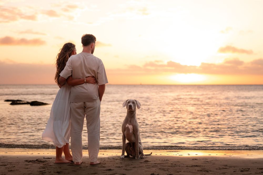 Couple and dog watching sunset on beach, romantic golden hour ocean view with waves and colorful sky.
