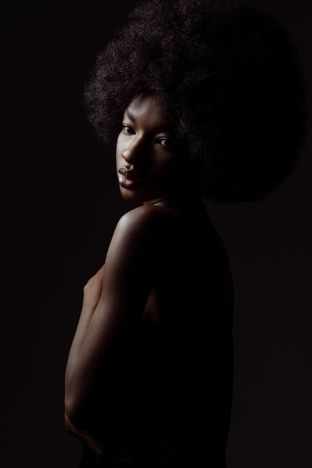 Artistic dark portrait showcasing natural hair and dramatic lighting.