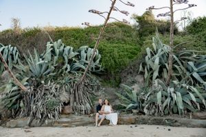A couple sits among large coastal plants and rocks on a secluded beach.