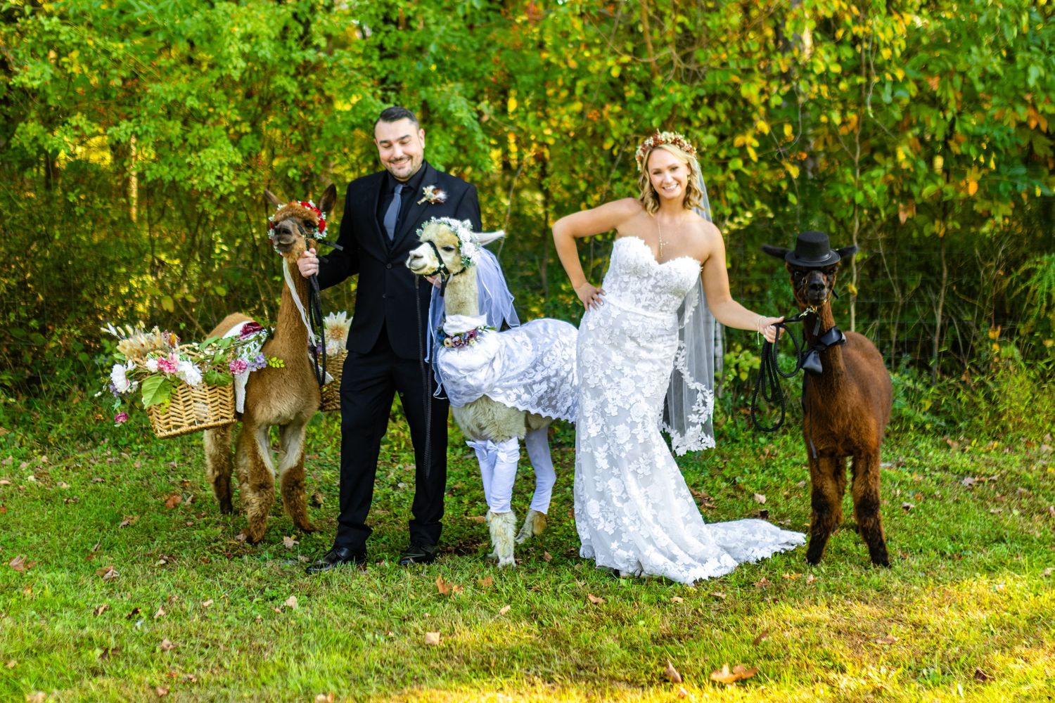 A couple poses outdoors with their two dogs in a wooded setting during autumn.