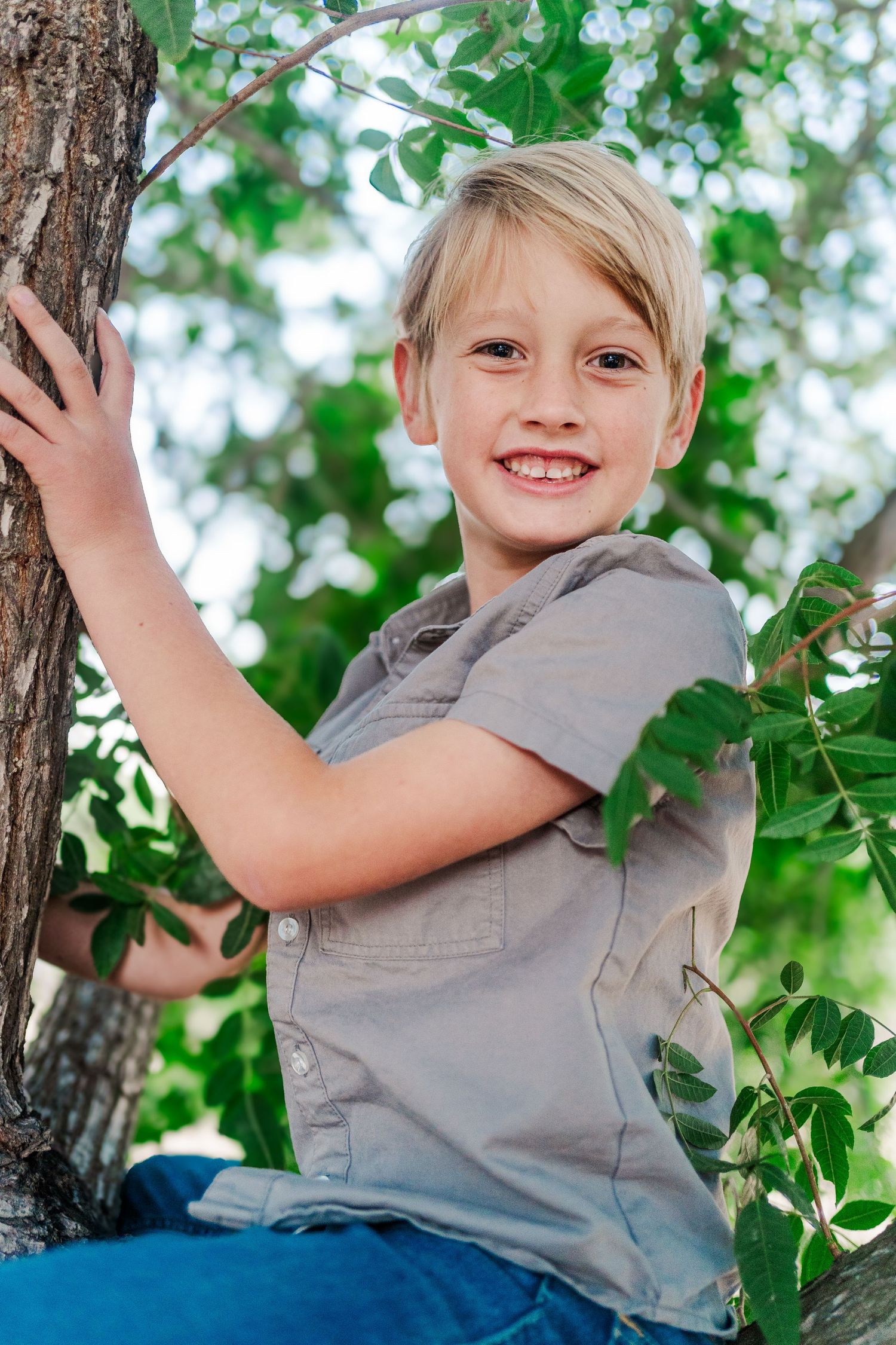 A young person climbs a tree among green leaves on a sunny day.