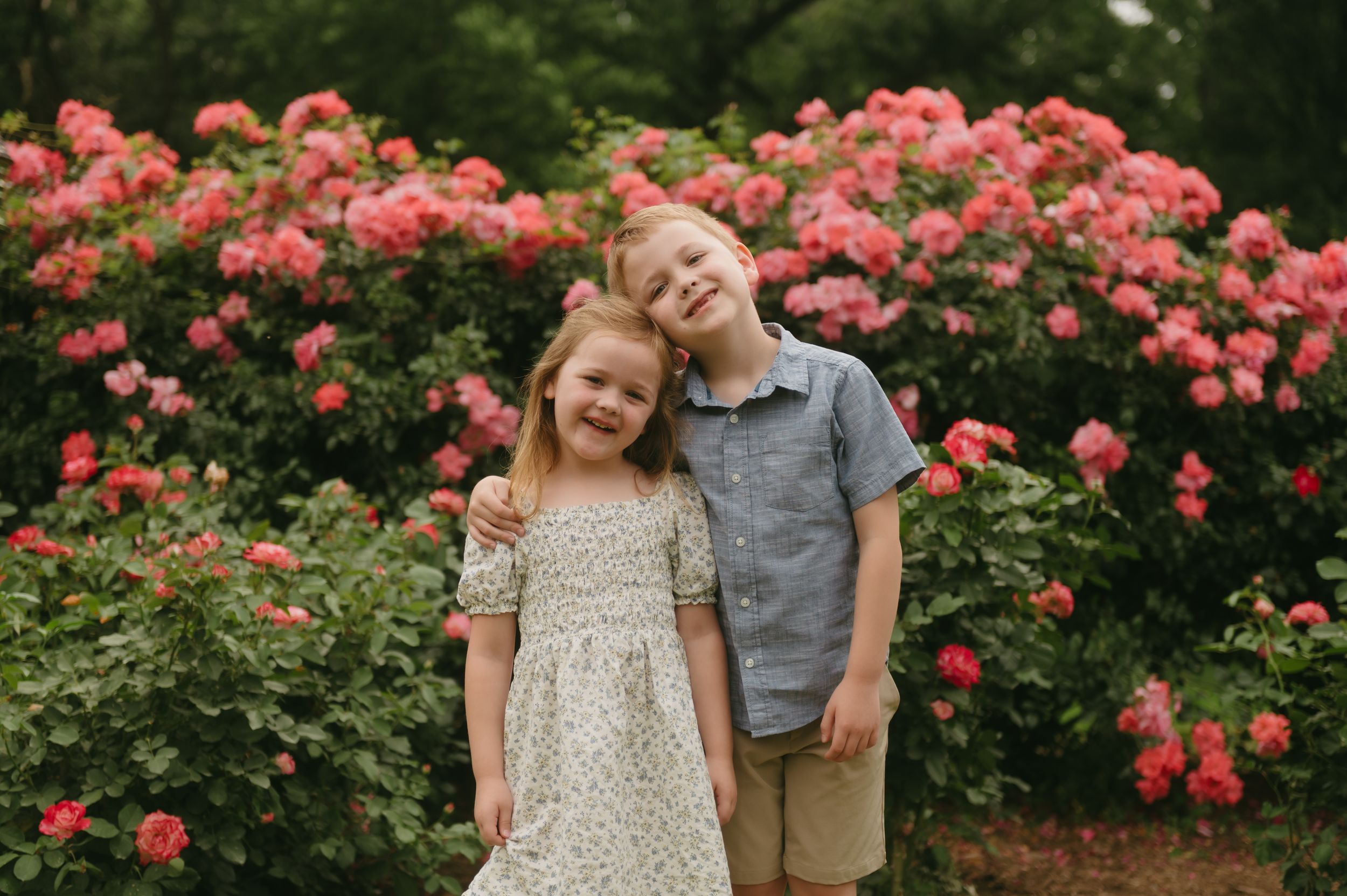 Two children smiling together in front of blooming pink rose bushes in a garden, girl in floral dress and boy in blue shirt.