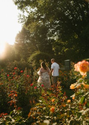 Couple walking hand-in-hand through a sunlit rose garden at golden hour.