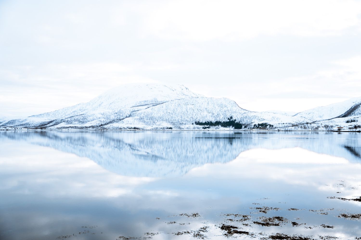 paysage gelée en hiver à senja en norvège avec montagne enneigées et fjord