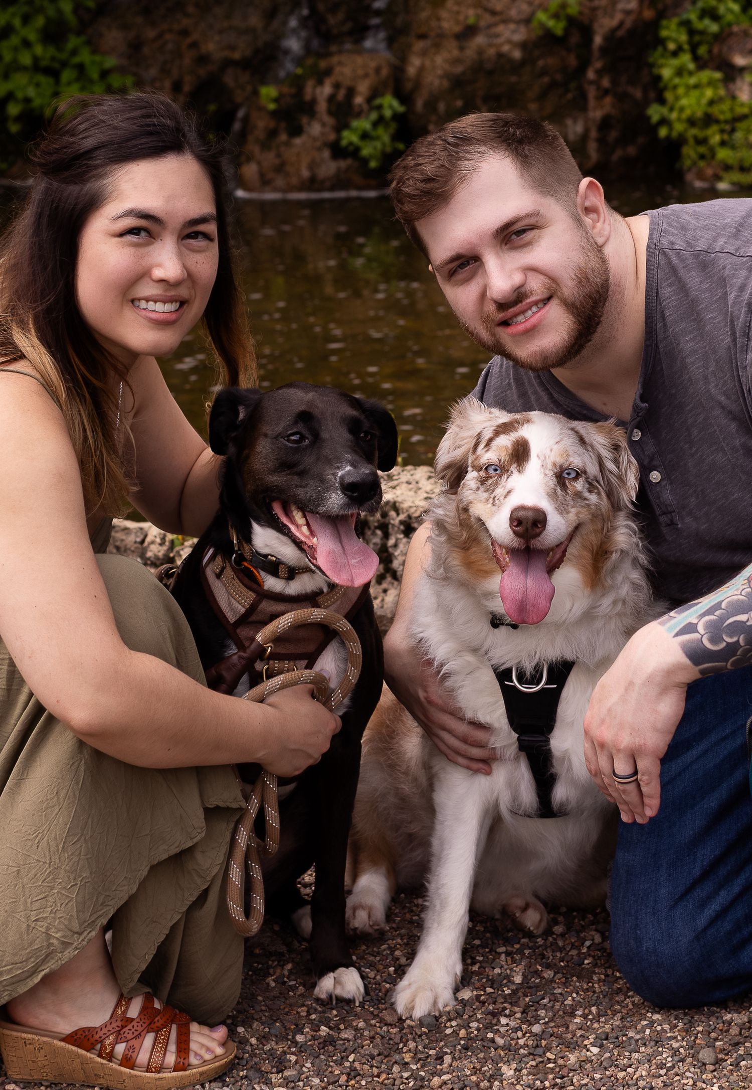 A happy couple poses with their black and white Border Collie dogs on a gravel path during a photo session.
