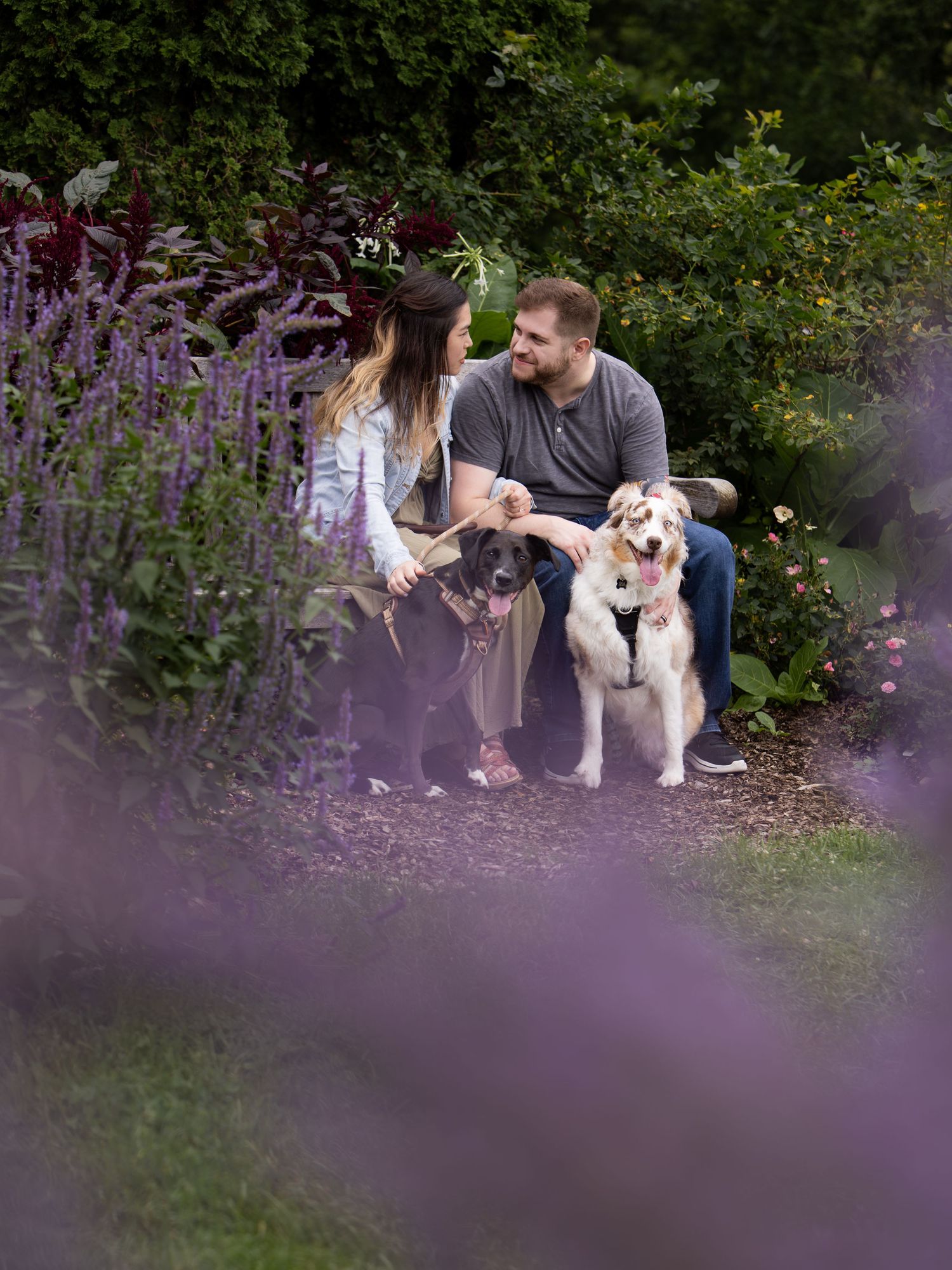 A couple shares an intimate moment on a park bench while their white dog sits beside them among purple flowers.