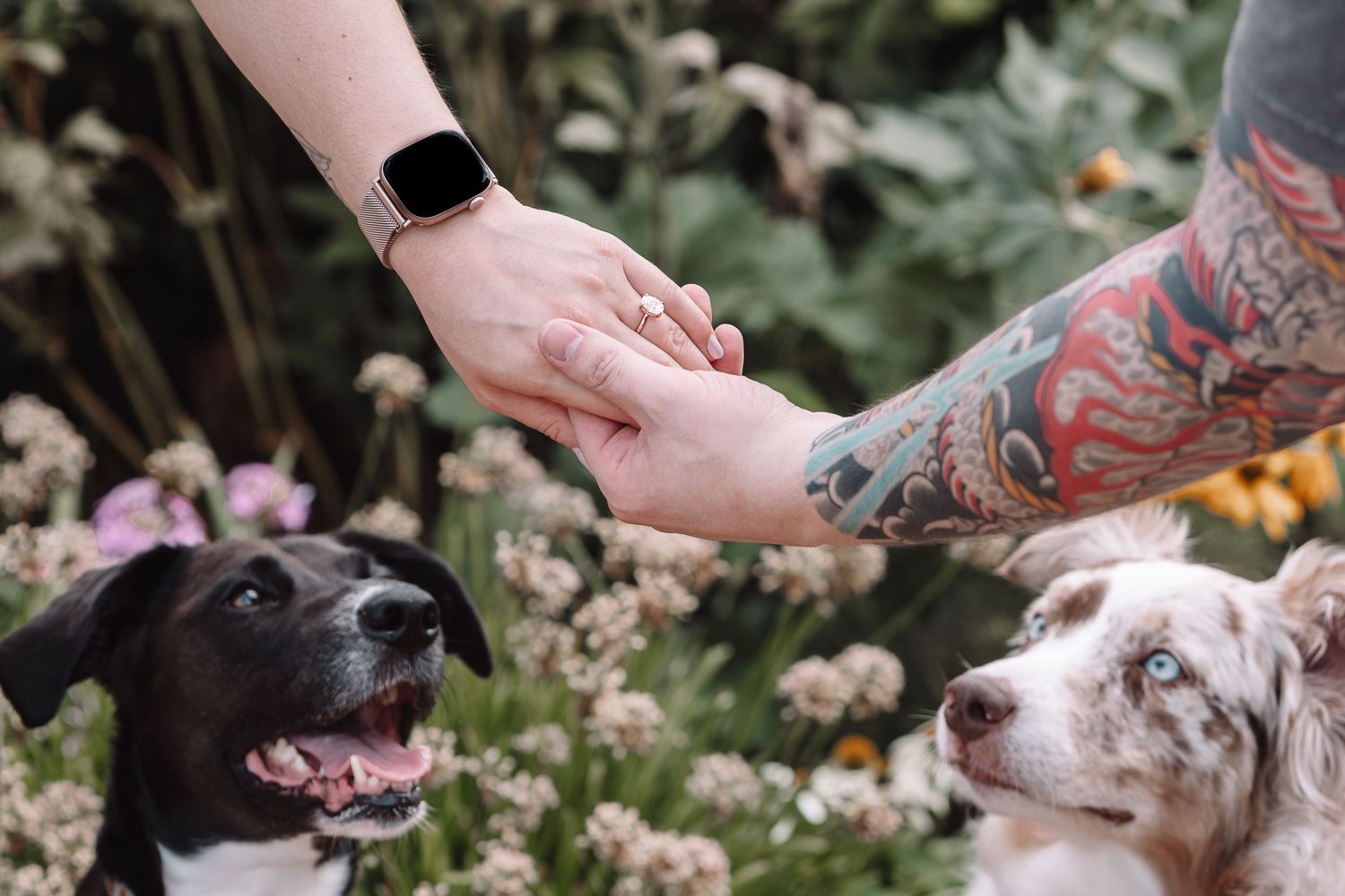 Hand with tattoos gently feeds a treat to an Australian Shepherd dog in an outdoor garden setting.