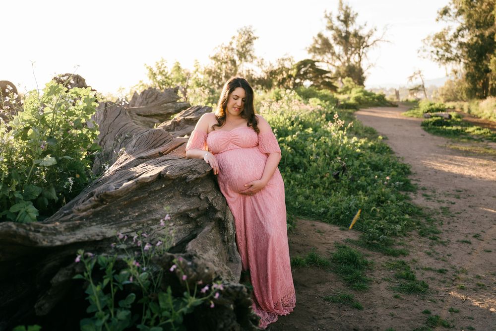 A maternity photo session in nature featuring a woman in a flowing pink dress against a rustic wooden backdrop.