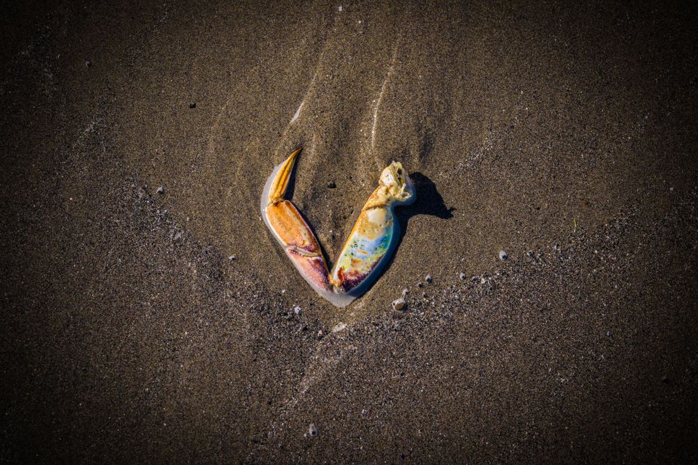 Birds-eye view of person lying on dark wet sand creating an angel shape.