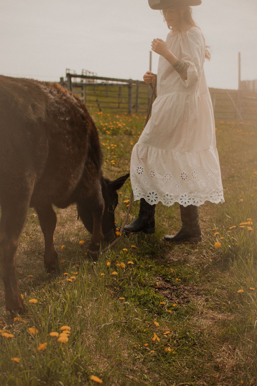 A pastoral scene with a person in a white dress and boots standing beside a grazing calf.