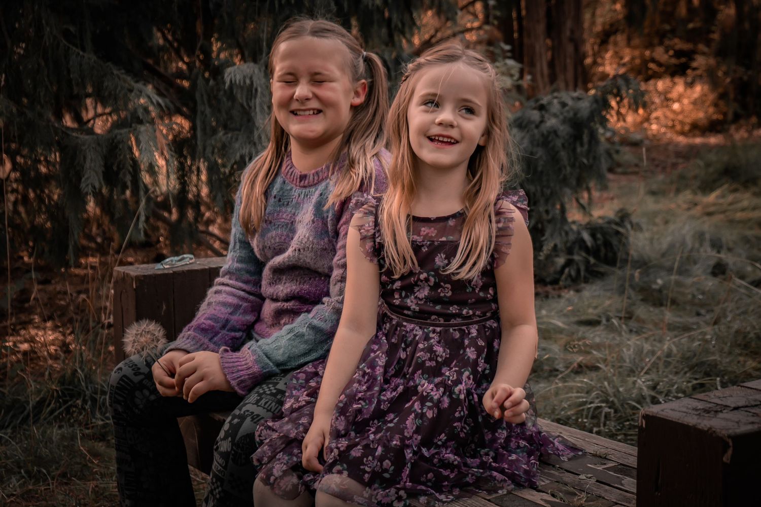 Children sitting on wooden bench in forest setting during golden hour.