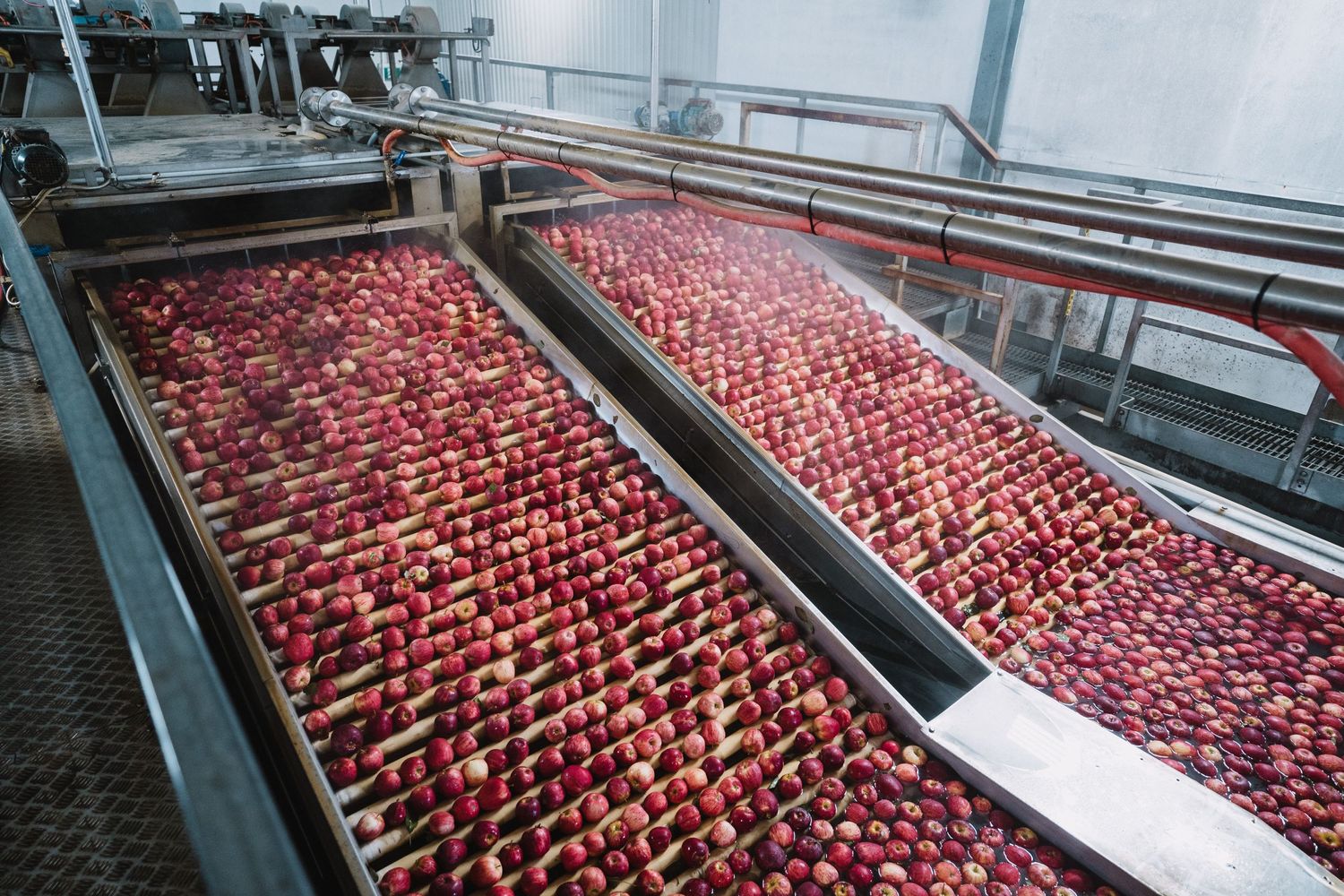 Hawkes Bay Photographer, Hawkes Bay Commercial Photographer, Apple Harvest, T&G