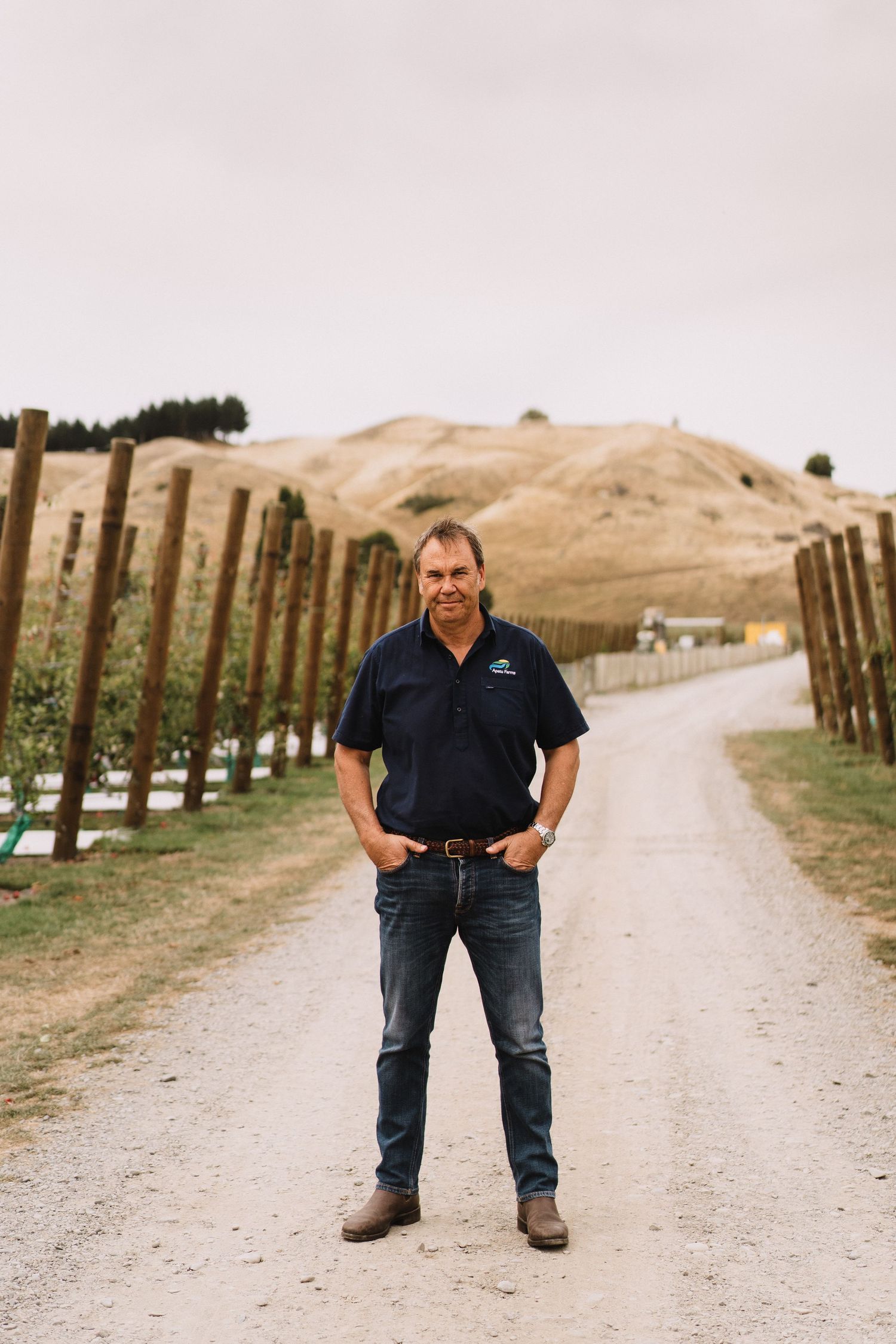 Hawkes Bay Photographer, Hawkes Bay Commercial Photographer, Apple Harvest, T&G