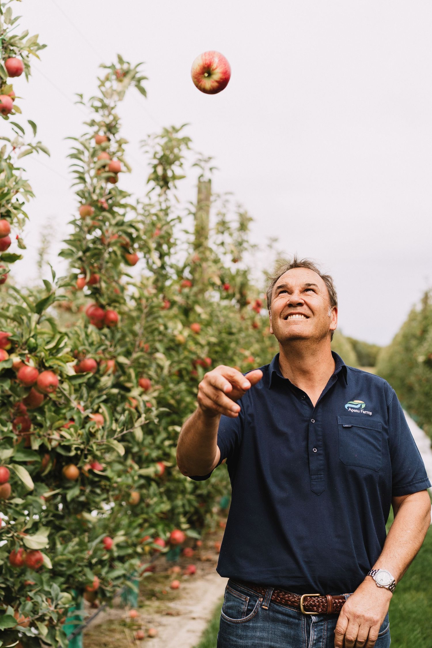 Hawkes Bay Photographer, Hawkes Bay Commercial Photographer, Apple Harvest, T&G