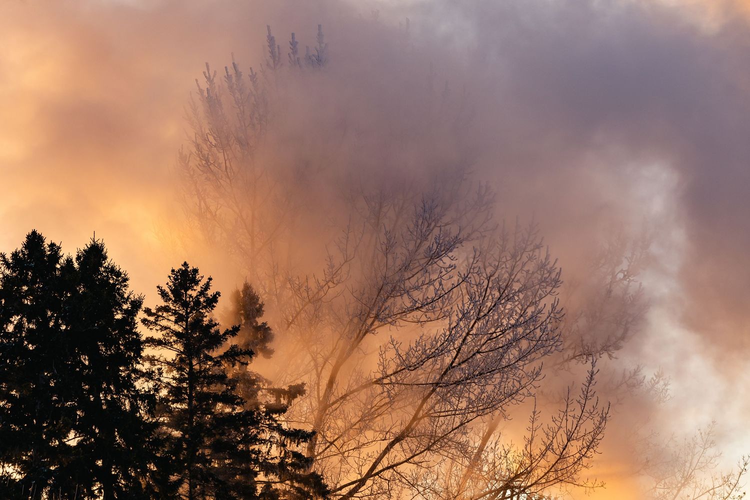 Dramatic sunset sky with glowing orange clouds and dark tree silhouettes.